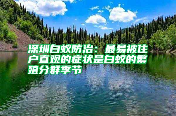 深圳白蟻防治：最易被住戶直觀的癥狀是白蟻的繁殖分群季節