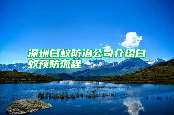 深圳白蟻防治公司介紹白蟻預防流程