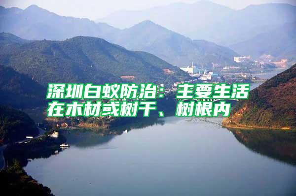 深圳白蟻防治：主要生活在木材或樹干、樹根內(nèi)