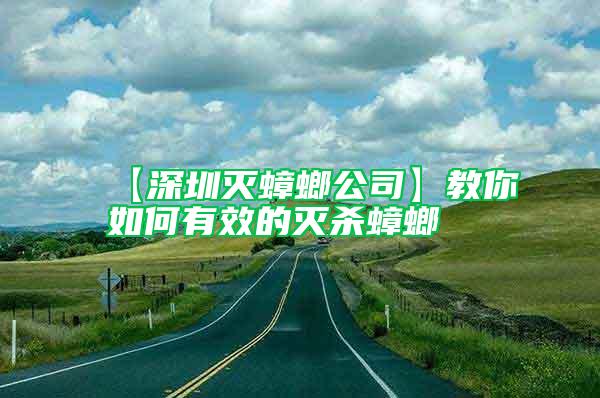 【深圳滅蟑螂公司】教你如何有效的滅殺蟑螂