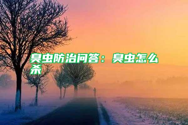 臭蟲防治問答：臭蟲怎么殺