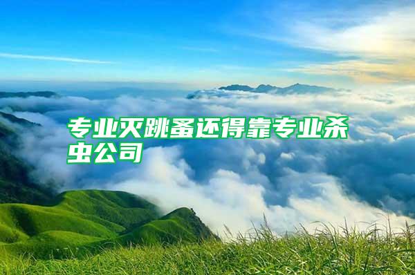 專業(yè)滅跳蚤還得靠專業(yè)殺蟲(chóng)公司