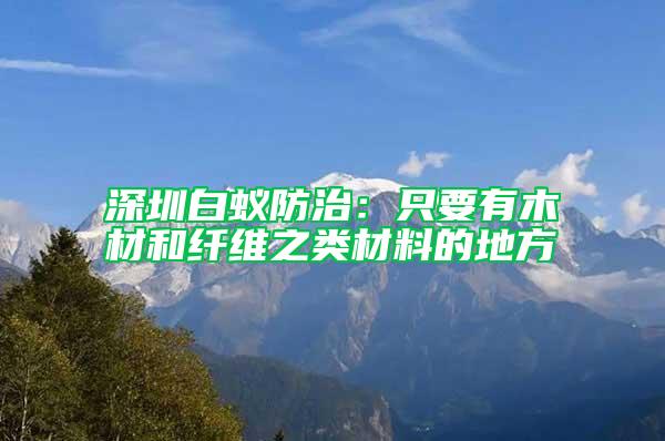 深圳白蟻防治：只要有木材和纖維之類材料的地方