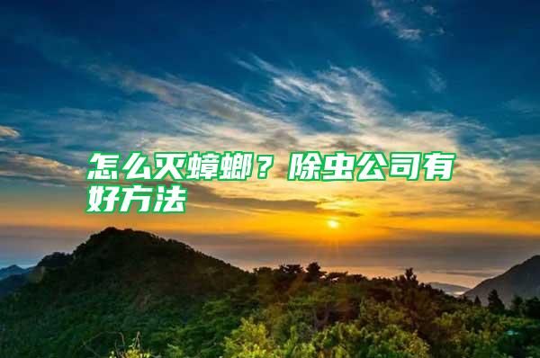 怎么滅蟑螂？除蟲公司有好方法