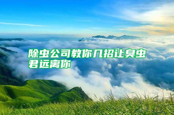 除蟲公司教你幾招讓臭蟲君遠(yuǎn)離你