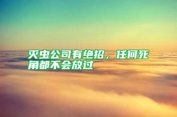 滅蟲公司有絕招，任何死角都不會放過