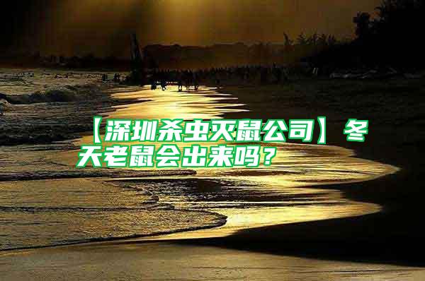 【深圳殺蟲滅鼠公司】冬天老鼠會出來嗎？