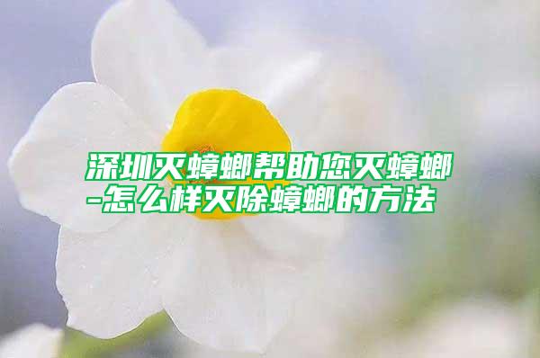 深圳滅蟑螂幫助您滅蟑螂-怎么樣滅除蟑螂的方法