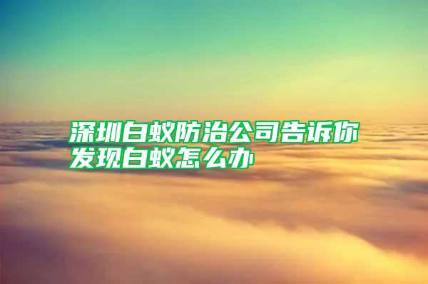 深圳白蟻防治公司告訴你發(fā)現(xiàn)白蟻怎么辦