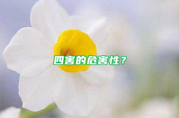 四害的危害性？