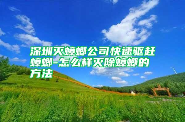 深圳滅蟑螂公司快速驅趕蟑螂-怎么樣滅除蟑螂的方法