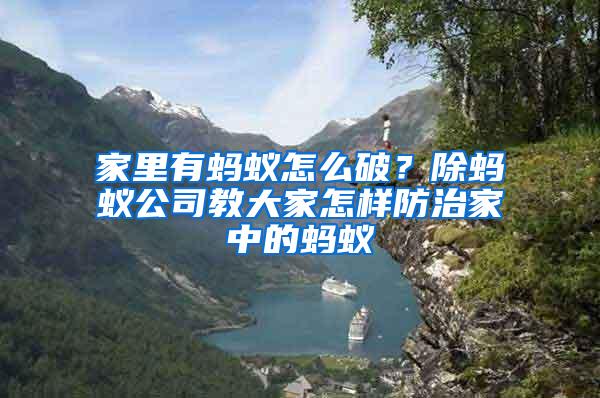 家里有螞蟻怎么破？除螞蟻公司教大家怎樣防治家中的螞蟻