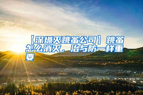 【深圳滅跳蚤公司】跳蚤怎么消滅，治與防一樣重要