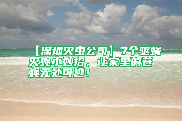 【深圳滅蟲公司】7個驅蠅滅蠅小妙招，讓家里的蒼蠅無處可逃！