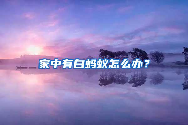 家中有白螞蟻怎么辦？