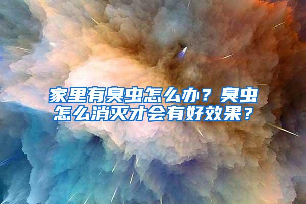 家里有臭蟲怎么辦？臭蟲怎么消滅才會有好效果？