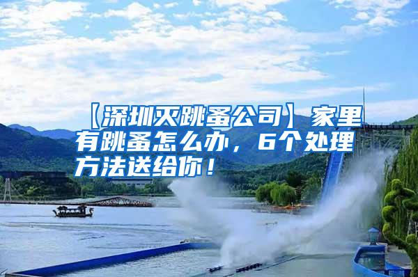 【深圳滅跳蚤公司】家里有跳蚤怎么辦，6個處理方法送給你！