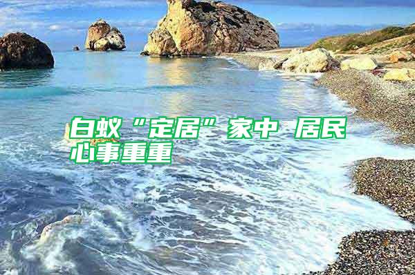 白蟻“定居”家中 居民心事重重