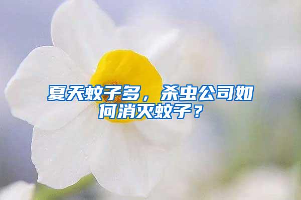 夏天蚊子多，殺蟲公司如何消滅蚊子？