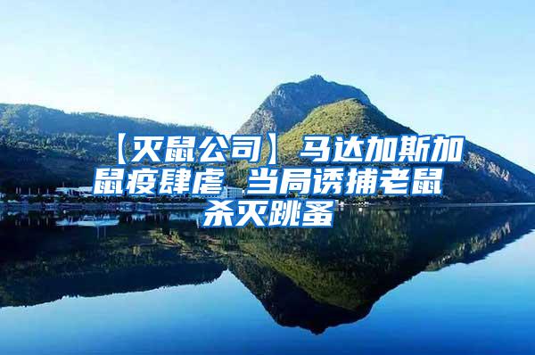 【滅鼠公司】馬達加斯加鼠疫肆虐 當局誘捕老鼠殺滅跳蚤