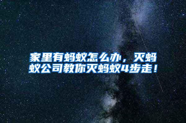 家里有螞蟻怎么辦，滅螞蟻公司教你滅螞蟻4步走！