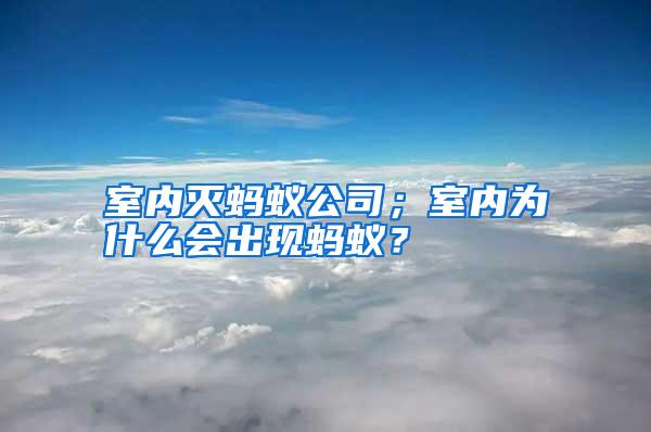 室內滅螞蟻公司；室內為什么會出現螞蟻？