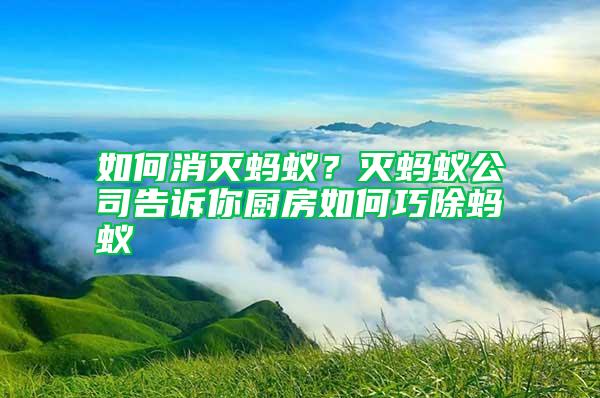 如何消滅螞蟻？滅螞蟻公司告訴你廚房如何巧除螞蟻