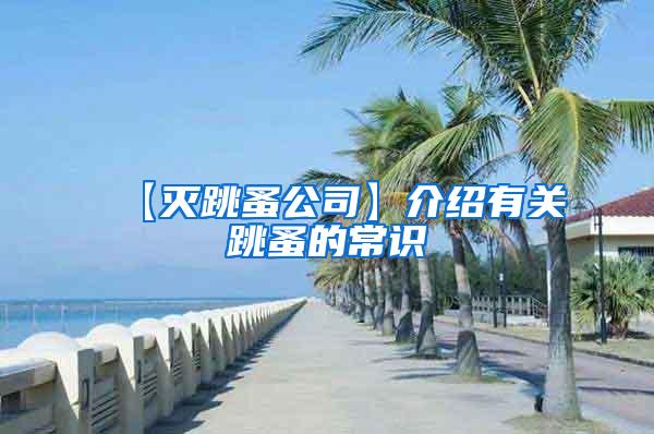 【滅跳蚤公司】介紹有關跳蚤的常識