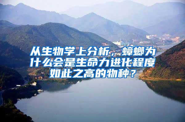 從生物學上分析，蟑螂為什么會是生命力進化程度如此之高的物種？