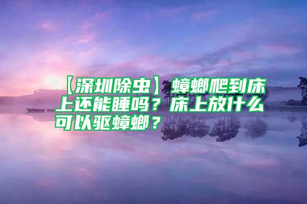 【深圳除蟲】蟑螂爬到床上還能睡嗎？床上放什么可以驅蟑螂？