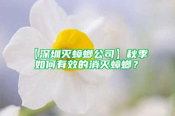 【深圳滅蟑螂公司】秋季  如何有效的消滅蟑螂？