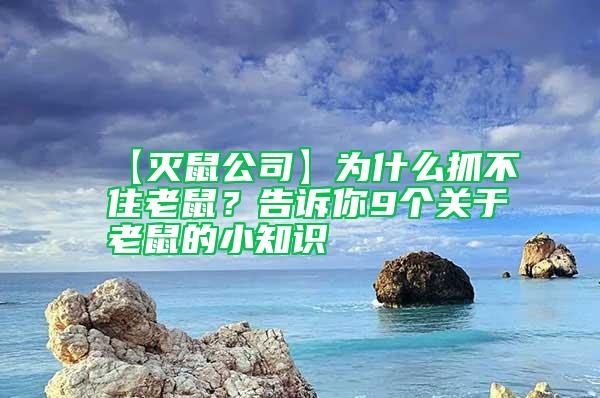 【滅鼠公司】為什么抓不住老鼠？告訴你9個關于老鼠的小知識