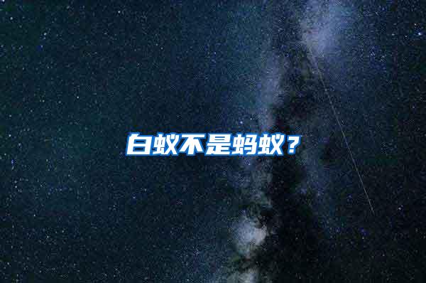 白蟻不是螞蟻？