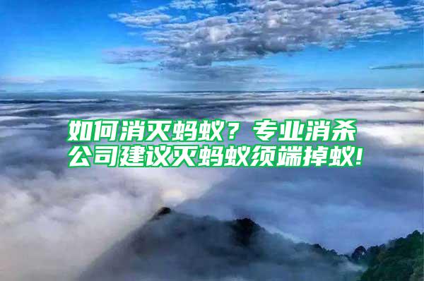 如何消滅螞蟻？專業(yè)消殺公司建議滅螞蟻?lái)毝说粝?