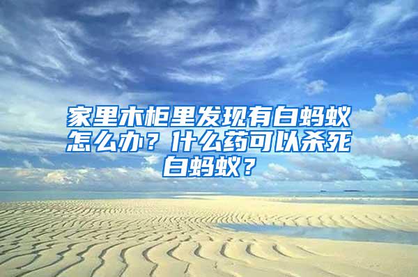 家里木柜里發現有白螞蟻怎么辦？什么藥可以殺死白螞蟻？