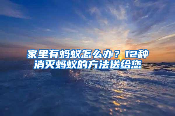 家里有螞蟻怎么辦？12種消滅螞蟻的方法送給您