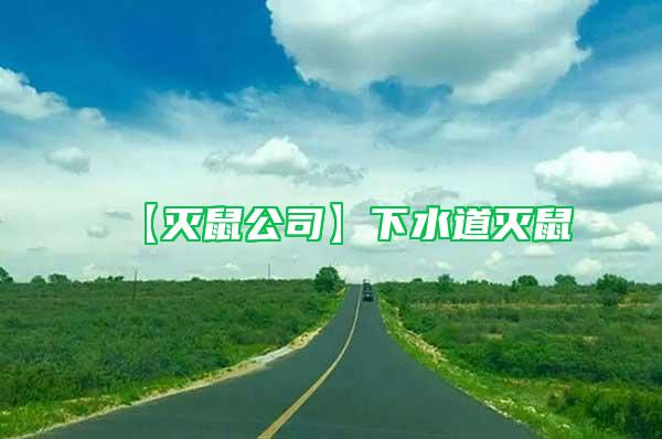 【滅鼠公司】下水道滅鼠