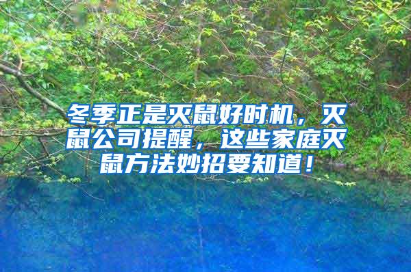 冬季正是滅鼠好時機，滅鼠公司提醒，這些家庭滅鼠方法妙招要知道！