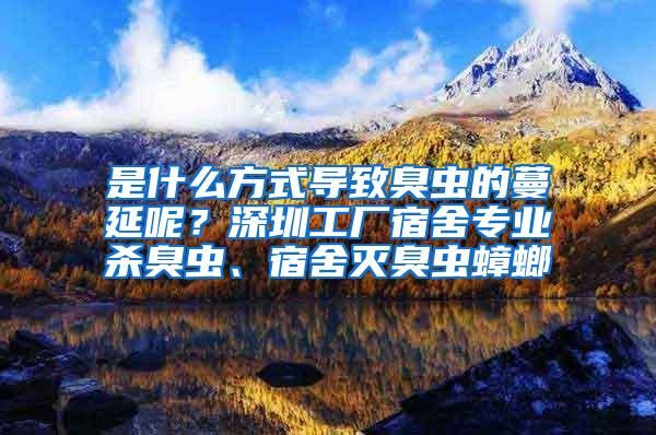 是什么方式導致臭蟲的蔓延呢？深圳工廠宿舍專業殺臭蟲、宿舍滅臭蟲蟑螂