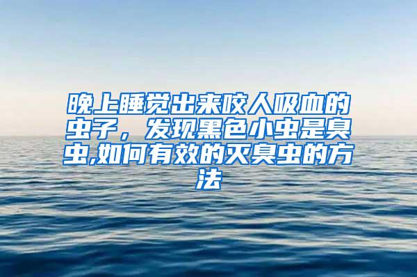 晚上睡覺出來咬人吸血的蟲子，發現黑色小蟲是臭蟲,如何有效的滅臭蟲的方法