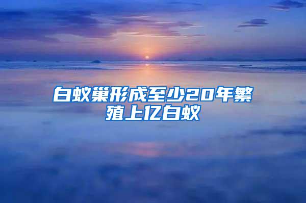 白蟻巢形成至少20年繁殖上億白蟻