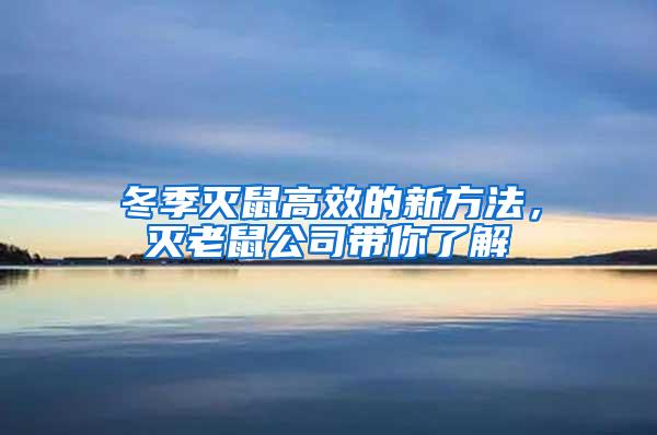 冬季滅鼠高效的新方法，滅老鼠公司帶你了解