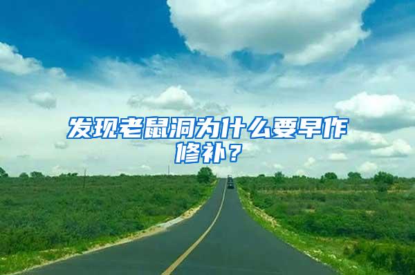 發(fā)現(xiàn)老鼠洞為什么要早作修補(bǔ)？