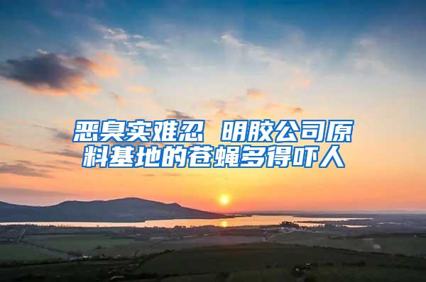 惡臭實難忍 明膠公司原料基地的蒼蠅多得嚇人