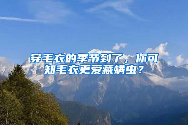 穿毛衣的季節(jié)到了，你可知毛衣更愛藏螨蟲？