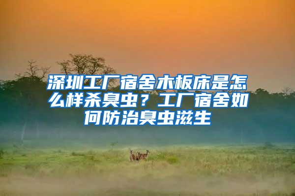 深圳工廠宿舍木板床是怎么樣殺臭蟲？工廠宿舍如何防治臭蟲滋生