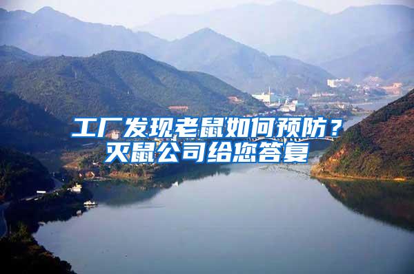 工廠發現老鼠如何預防？滅鼠公司給您答復