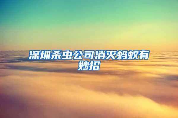 深圳殺蟲公司消滅螞蟻有妙招