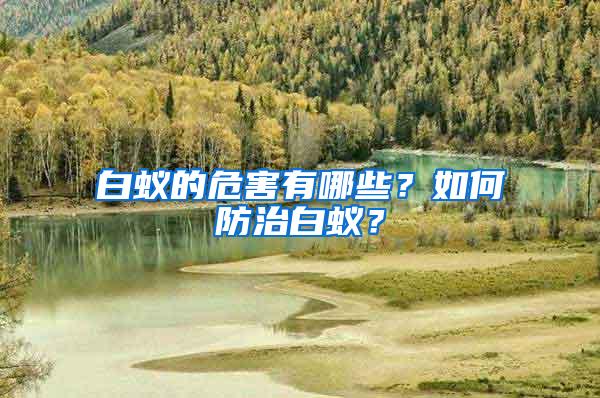 白蟻的危害有哪些？如何防治白蟻？