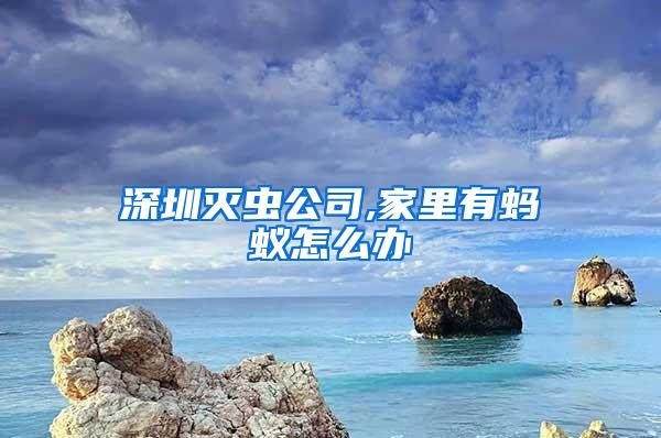 深圳滅蟲公司,家里有螞蟻怎么辦